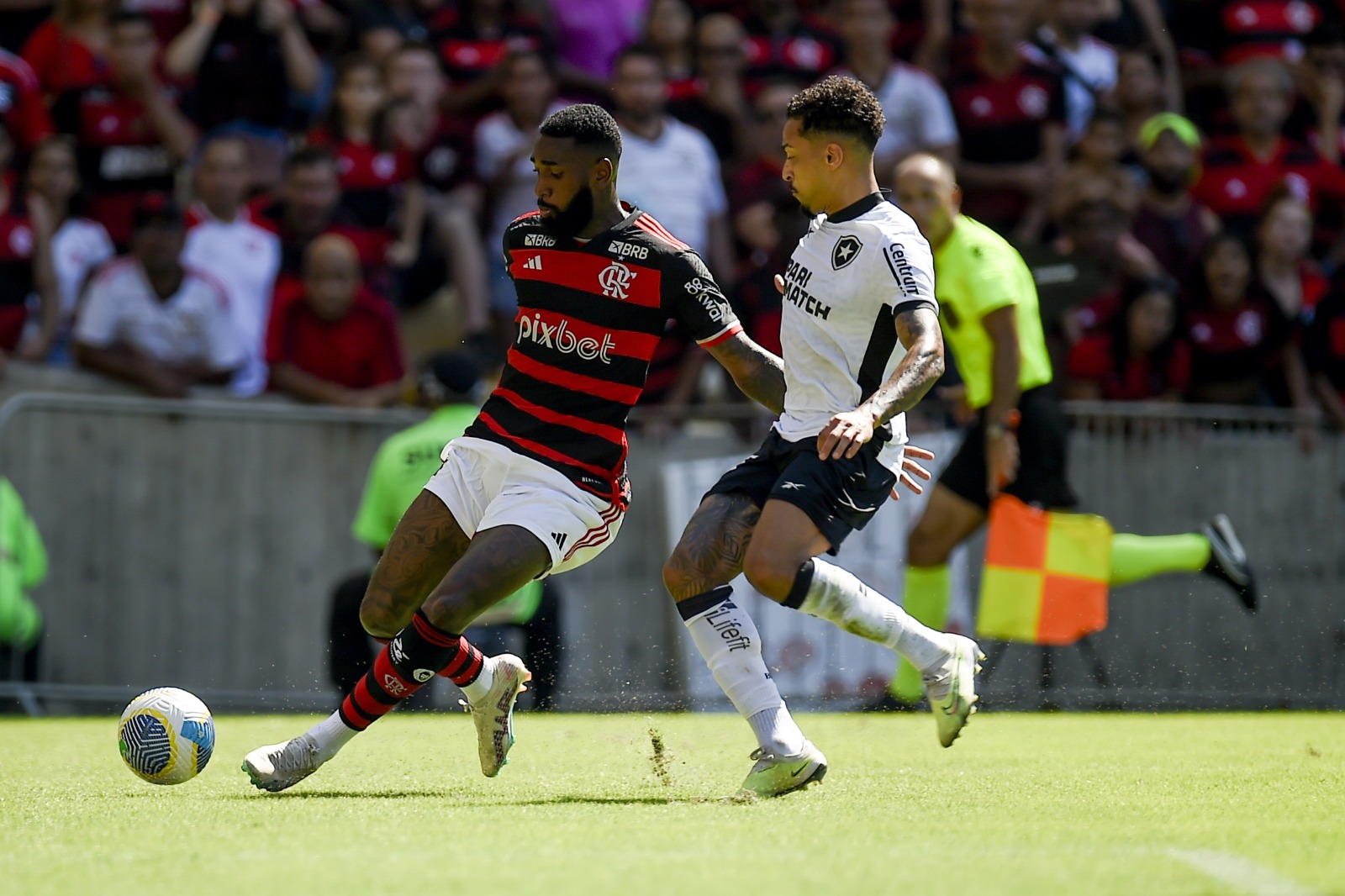 Técnico do Botafogo comenta sobre o clássico contra o Flamengo: "Vamos disputar com determinação"